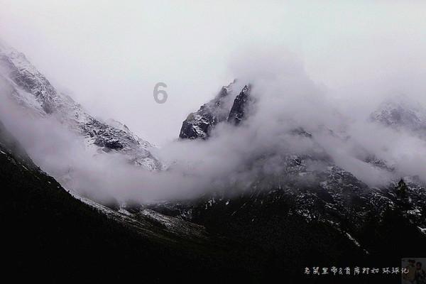 虫虫助手下载